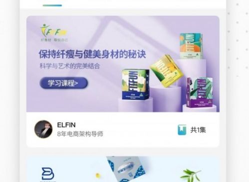 森蜜品牌营销学习 运营管理与招商系统的深化与实践